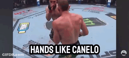 Two Men Fighting In Boxing Ring GIF