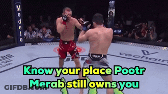 Two Men Fighting In Boxing Ring Know Your Place Pootr Merab Still Owns You GIF