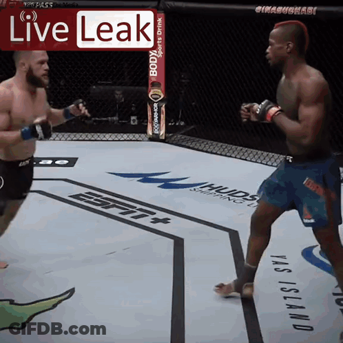 Two Men Fighting In Boxing Ring Live Leak GIF