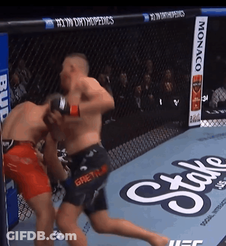 Two Men Fighting In Boxing Ring Monaco GIF