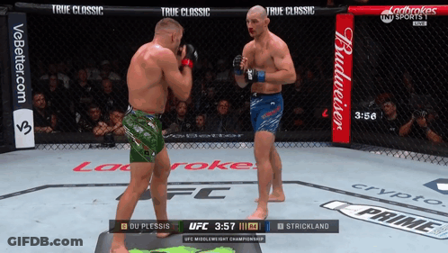 Two Men Fighting In Boxing Ring GIF