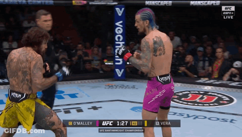 Two Men Fighting In Boxing Ring, Purple Venom Shorts GIF