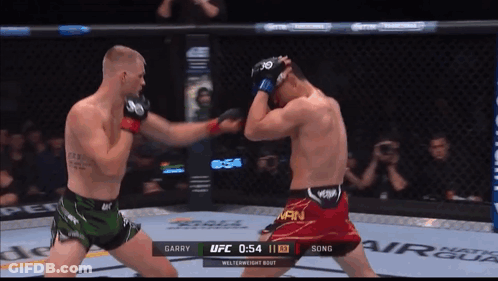 Two Men Fighting In Boxing Ring UFC 0:54 GIF