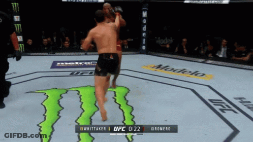 Two Men Fighting In Boxing Ring UFC Fight Pass GIF