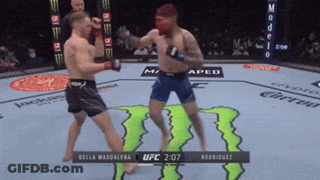 Two Men Fighting In Boxing Ring GIF
