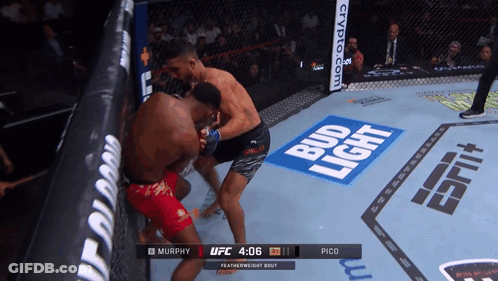 Two Men Fighting In Boxing Ring With Bud Light Ads GIF