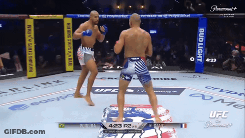 Two Men Fighting In Boxing Ring With Bud Light Ads GIF