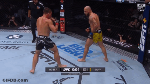 Two Men Fighting In Boxing Ring With Bud Light Ads GIF