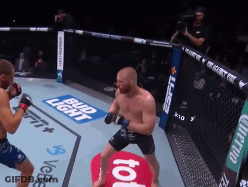 Two Men Fighting In Boxing Ring With Bud Light And ESPN GIF
