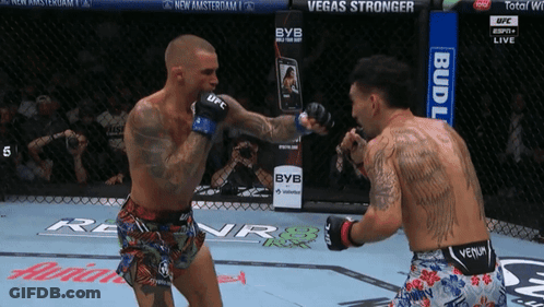 Two Men Fighting In Boxing Ring With Bud Light Banner GIF