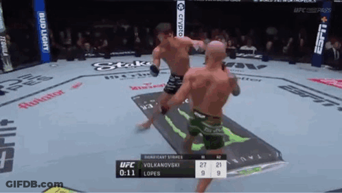 Two Men Fighting In Boxing Ring With Bud Light Banner GIF