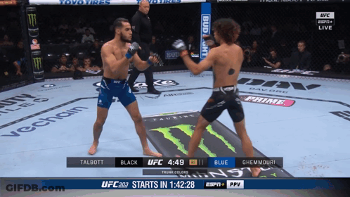 Two Men Fighting In Boxing Ring With Bud Light Banner GIF