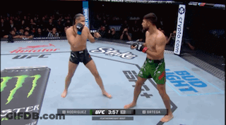 Two Men Fighting In Boxing Ring With Bud Light Sign GIF