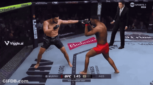 Two Men Fighting In Boxing Ring With Budweiser Ad GIF