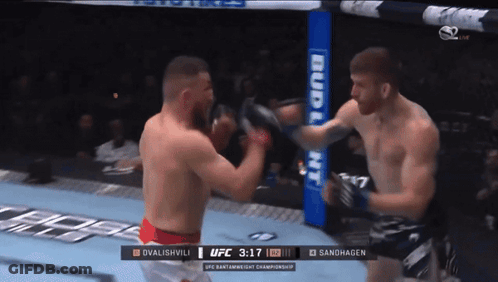 Two Men Fighting In Boxing Ring With Budweiser Ad GIF