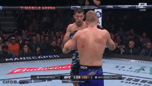 Two Men Fighting In Boxing Ring With Budweiser Ad GIF