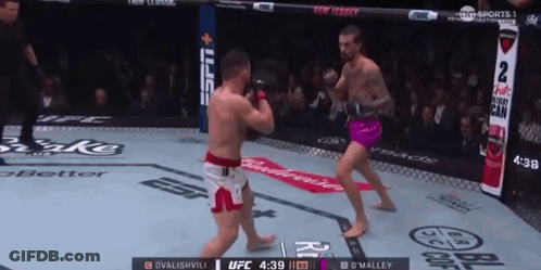 Two Men Fighting In Boxing Ring With Budweiser Ad GIF