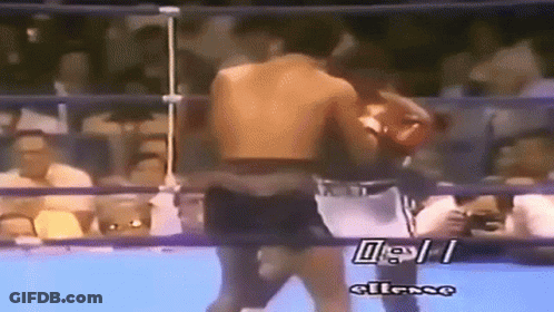 Two Men Fighting In Boxing Ring With Ellesse GIF