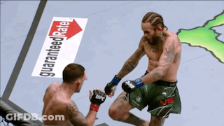 Two Men Fighting In Boxing Ring With Guaranteed Rate Sign GIF