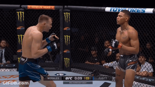 Two Men Fighting In Boxing Ring With Howler Head Ad GIF