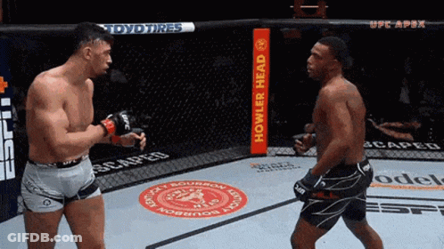 Two Men Fighting In Boxing Ring With Howler Head Sign GIF