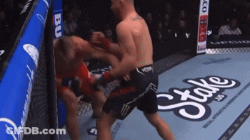 Two Men Fighting In Boxing Ring With Stake Logo GIF