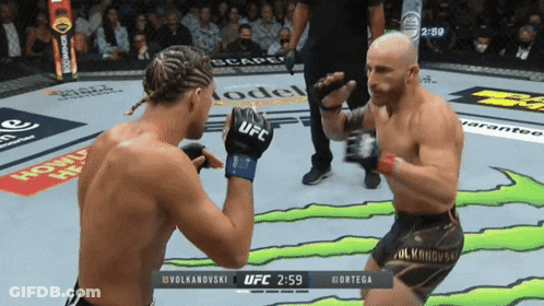 Two Men Fighting In Boxing Ring With UFC 1:33 Background GIF