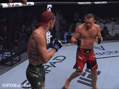 Two Men Fighting In Boxing Ring With UFC GIF