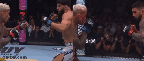 Two Men Fighting In Boxing Ring With UFC Gloves GIF