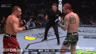 Two Men Fighting In Boxing Ring With UFC Logo GIF