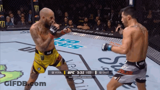 Two Men Fighting In Boxing Ring With UFC Logo GIF
