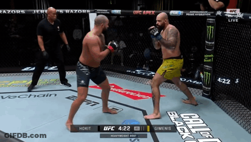 Two Men Fighting In Boxing Ring With UFC Logo GIF