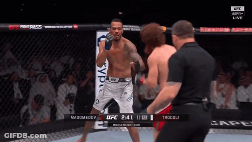 Two Men Fighting In Boxing Ring With UFC Logo GIF