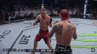Two Men Fighting In Boxing Ring With UFC GIF