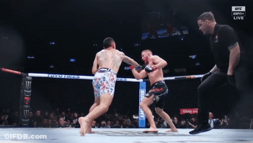 Two Men Fighting In Boxing Ring With UFC GIF