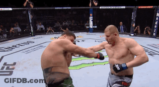 Two Men Fighting In Boxing Ring With UFC Shorts GIF