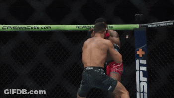 Two Men Fighting In Boxing Ring With United Center Sign GIF
