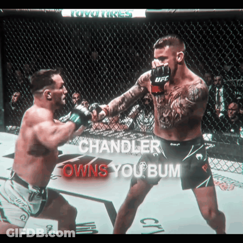 Two Men Fighting In Cage Chandler Owns You Bum GIF