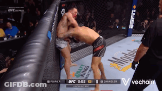 Two Men Fighting In Cage Nothing Stops Ram GIF