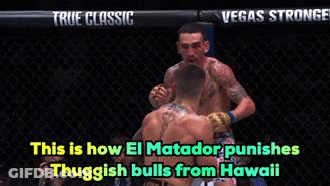 Two Men Fighting In Cage Saying This Is How El Matador Punishes Thugs From Hawaii GIF