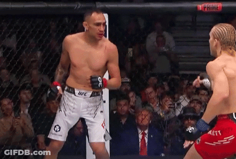 Two Men Fighting In Cage Wearing UFC Shorts GIF