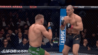 Two Men Fighting In Cage With Bud Light Sign GIF