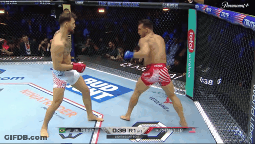 Two Men Fighting In Cage With Bud Light Sign GIF