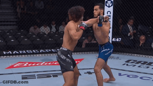 Two Men Fighting In Cage With Budweiser Banner GIF