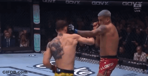 Two Men Fighting In Cage With Govx On Walls GIF