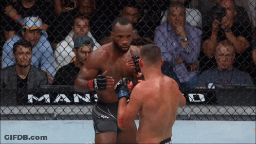 Two Men Fighting In Cage With Logo GIF