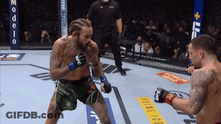Two Men Fighting In Cage With Neds GIF