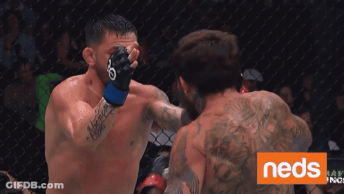 Two Men Fighting In Cage With Neds Written In Corner GIF