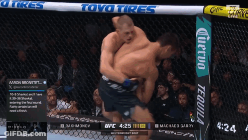 Two Men Fighting In Cage With Toyo Tires GIF