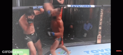 Two Men Fighting In Cage With Toyo Tires Banner GIF